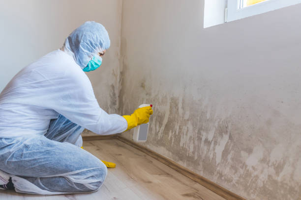 Mold Remediation specialist working in North Arlington